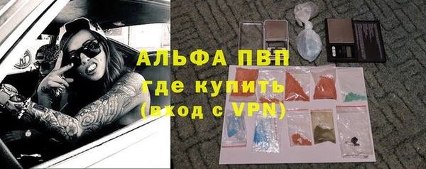 прущая мука Иннополис