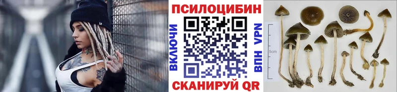 Купить где  Черепаново  Галлюциногенные грибы мухоморы 